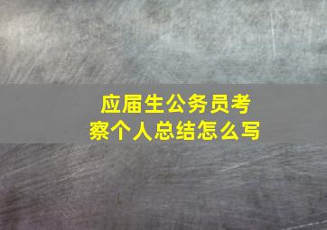 应届生公务员考察个人总结怎么写