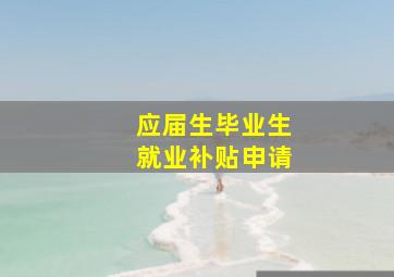 应届生毕业生就业补贴申请