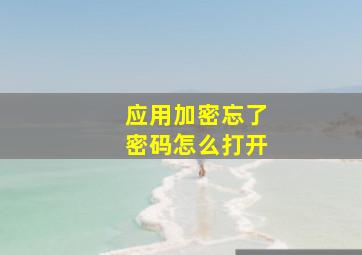 应用加密忘了密码怎么打开