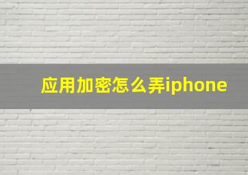 应用加密怎么弄iphone