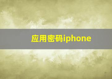 应用密码iphone