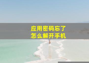 应用密码忘了怎么解开手机