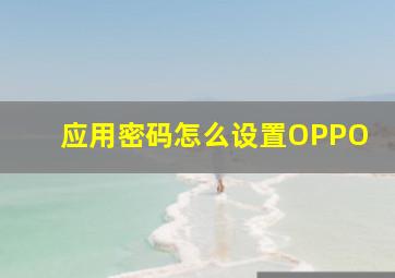 应用密码怎么设置OPPO