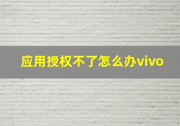 应用授权不了怎么办vivo