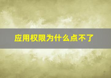 应用权限为什么点不了