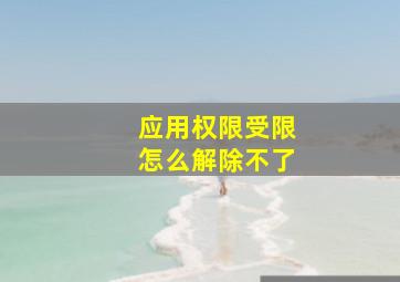 应用权限受限怎么解除不了