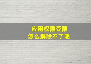 应用权限受限怎么解除不了呢