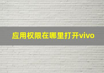 应用权限在哪里打开vivo