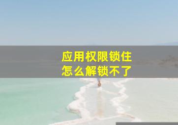 应用权限锁住怎么解锁不了