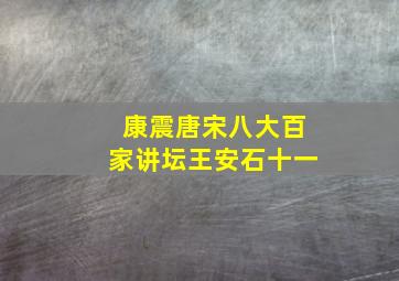 康震唐宋八大百家讲坛王安石十一