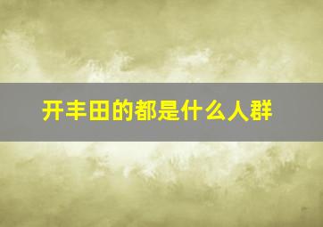 开丰田的都是什么人群