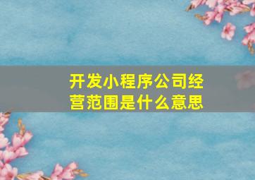 开发小程序公司经营范围是什么意思