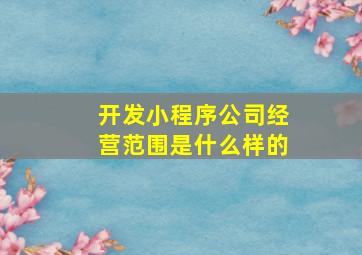 开发小程序公司经营范围是什么样的