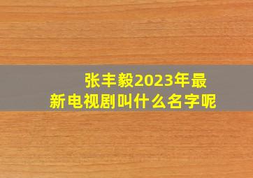 张丰毅2023年最新电视剧叫什么名字呢