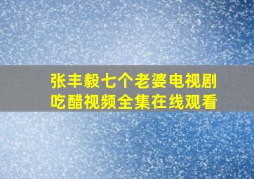 张丰毅七个老婆电视剧吃醋视频全集在线观看