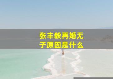 张丰毅再婚无子原因是什么