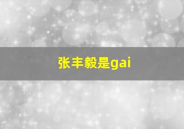 张丰毅是gai