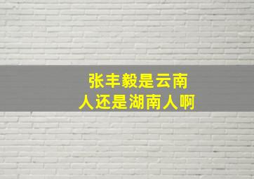 张丰毅是云南人还是湖南人啊