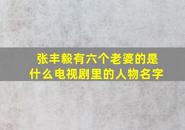 张丰毅有六个老婆的是什么电视剧里的人物名字