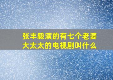 张丰毅演的有七个老婆大太太的电视剧叫什么