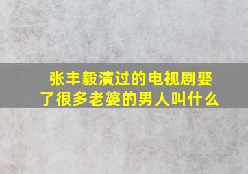 张丰毅演过的电视剧娶了很多老婆的男人叫什么