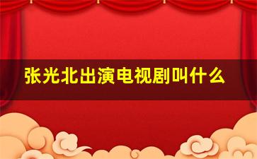 张光北出演电视剧叫什么