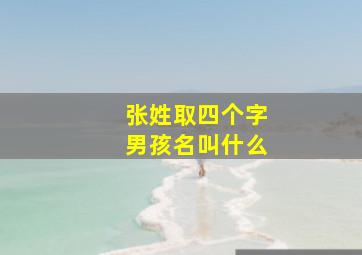 张姓取四个字男孩名叫什么