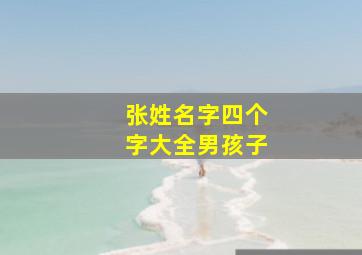 张姓名字四个字大全男孩子