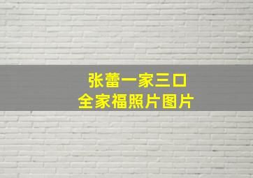 张蕾一家三口全家福照片图片