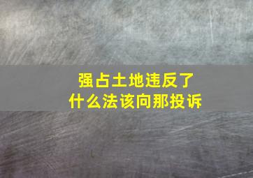 强占土地违反了什么法该向那投诉