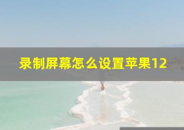 录制屏幕怎么设置苹果12