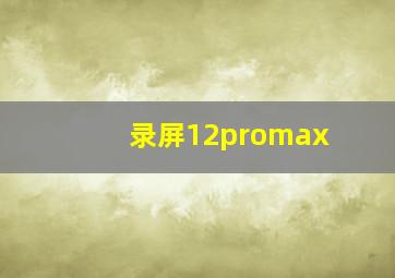 录屏12promax