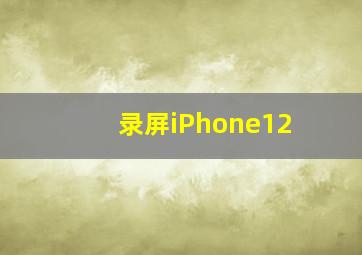 录屏iPhone12