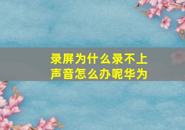 录屏为什么录不上声音怎么办呢华为