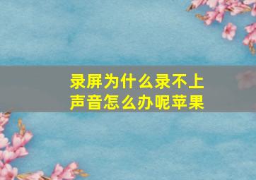 录屏为什么录不上声音怎么办呢苹果