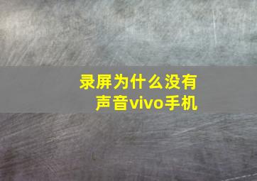 录屏为什么没有声音vivo手机