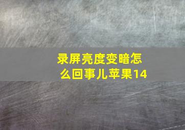 录屏亮度变暗怎么回事儿苹果14