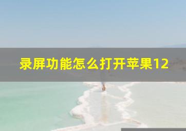 录屏功能怎么打开苹果12