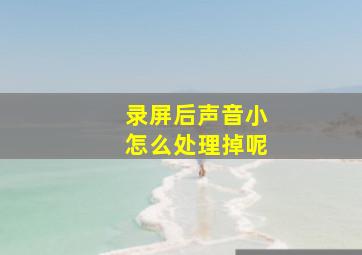 录屏后声音小怎么处理掉呢