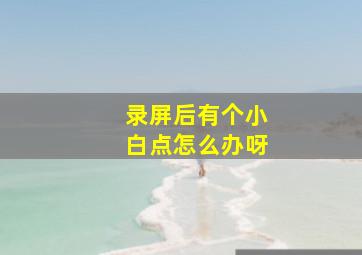 录屏后有个小白点怎么办呀