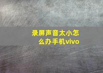 录屏声音太小怎么办手机vivo