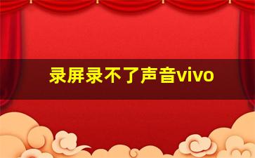 录屏录不了声音vivo