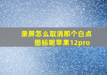 录屏怎么取消那个白点图标呢苹果12pro