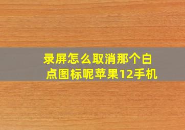 录屏怎么取消那个白点图标呢苹果12手机