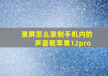 录屏怎么录制手机内的声音呢苹果12pro