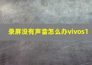 录屏没有声音怎么办vivos1