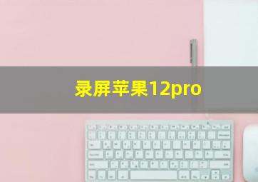 录屏苹果12pro