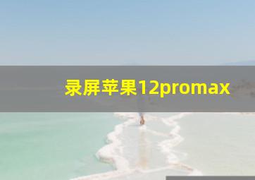 录屏苹果12promax