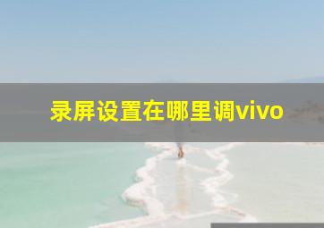 录屏设置在哪里调vivo