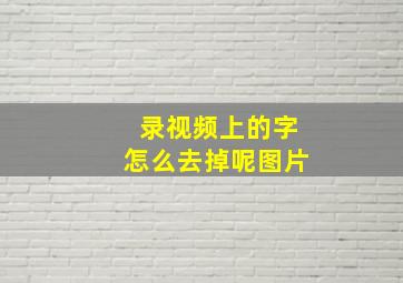 录视频上的字怎么去掉呢图片